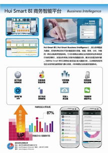 重慶軟件銷售、開(kāi)發(fā)、集成與升級(jí)的全面指南